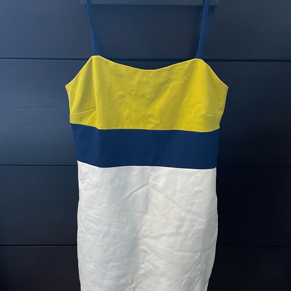 Banana Republic stretchy two color dress
